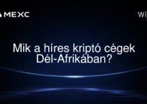 Mik a híres kriptó cégek Dél-Afrikában?