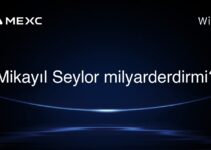 Mikayıl Seylor milyarderdirmi?