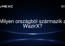 Milyen országból származik a WazirX?