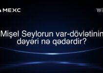 Mişel Seylorun var-dövlətinin dəyəri nə qədərdir?