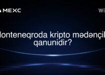 Monteneqroda kripto mədənçilik qanunidir?
