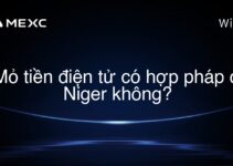 Mỏ tiền điện tử có hợp pháp ở Niger không?