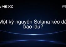 Một kỷ nguyên Solana kéo dài bao lâu?