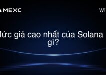Mức giá cao nhất của Solana là gì?