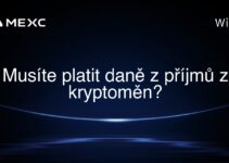 Musíte platit daně z příjmů z kryptoměn?