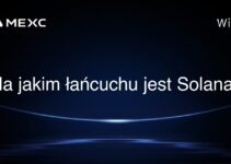 Na jakim łańcuchu jest Solana?