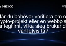 När du behöver verifiera om ett krypto-projekt eller en webbplats är legitimt, vilka steg brukar du vanligtvis ta?