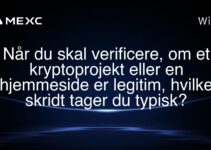 Når du skal verificere, om et kryptoprojekt eller en hjemmeside er legitim, hvilke skridt tager du typisk?
