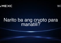 Narito ba ang crypto para manatili?
