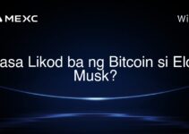 Nasa Likod ba ng Bitcoin si Elon Musk?