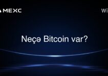 Neçə Bitcoin var?