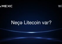 Neçə Litecoin var?