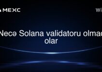 Necə Solana validatoru olmaq olar