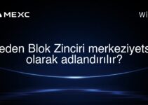 Neden Blok Zinciri merkeziyetsiz olarak adlandırılır?