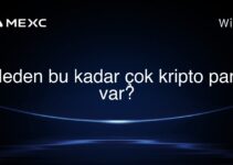 Neden bu kadar çok kripto para var?