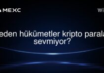 Neden hükümetler kripto paraları sevmiyor?