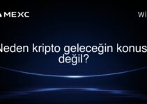 Neden kripto geleceğin konusu değil?