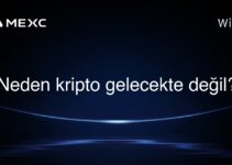 Neden kripto gelecekte değil?