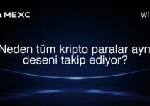 Neden tüm kripto paralar aynı deseni takip ediyor?
