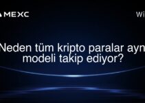Neden tüm kripto paralar aynı modeli takip ediyor?