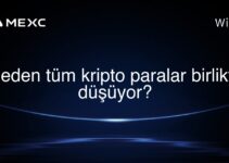 Neden tüm kripto paralar birlikte düşüyor?