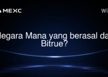 Negara Mana yang berasal dari Bitrue?