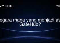 Negara mana yang menjadi asal GateHub?