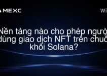 Nền tảng nào cho phép người dùng giao dịch NFT trên chuỗi khối Solana?
