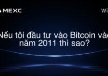 Nếu tôi đầu tư vào Bitcoin vào năm 2011 thì sao?