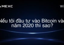 Nếu tôi đầu tư vào Bitcoin vào năm 2020 thì sao?