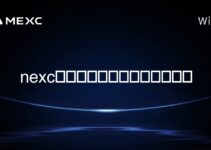 nexc 美國加密儲備公告何時發布？
