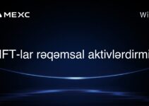 NFT-lar rəqəmsal aktivlərdirmi?