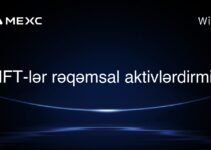 NFT-lər rəqəmsal aktivlərdirmi?