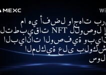 ما هي الموارد التعليمية التي يمكنك التوصية بها لفهم واجهات برمجة التطبيقات NFT على سلسلة كتلة سولانا؟