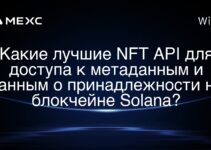 Какие образовательные ресурсы вы можете порекомендовать для лучшего понимания NFT API на блокчейне Solana?