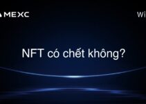 NFT có chết không?