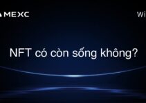 NFT có còn sống không?
