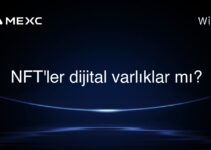 NFT’ler dijital varlıklar mı?