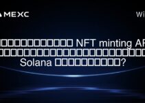 ผู้ให้บริการ NFT minting API ที่ดีที่สุดสำหรับบล็อกเชน Solana มีอะไรบ้าง?