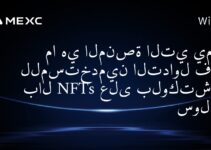 هل انتهت الـ NFTs؟