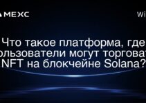 Что такое платформа, где пользователи могут торговать NFT на блокчейне Solana?