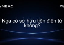 Nga có sở hữu tiền điện tử không?