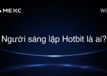 Người sáng lập Hotbit là ai?