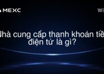 Nhà cung cấp thanh khoản tiền điện tử là gì?
