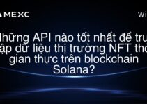Những API nào tốt nhất để truy cập dữ liệu thị trường NFT thời gian thực trên blockchain Solana?