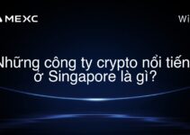Những công ty crypto nổi tiếng ở Singapore là gì?