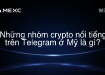 Những nhóm crypto nổi tiếng trên Telegram ở Mỹ là gì?