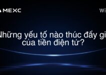 Những yếu tố nào thúc đẩy giá của tiền điện tử?