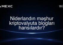 Niderlandın məşhur kriptovalyuta blogları hansılardır?