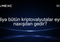 Niyə bütün kriptovalyutalar eyni naxışdan gedir?